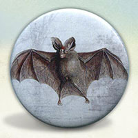 Bat Engraving