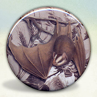 Hanging Bat