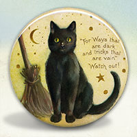 Little Black Kitty