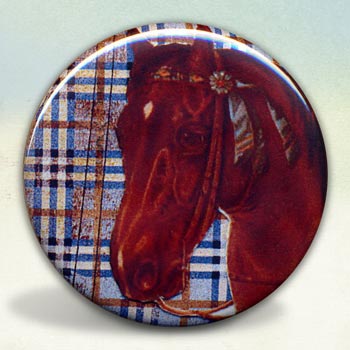 Horse on Plaid