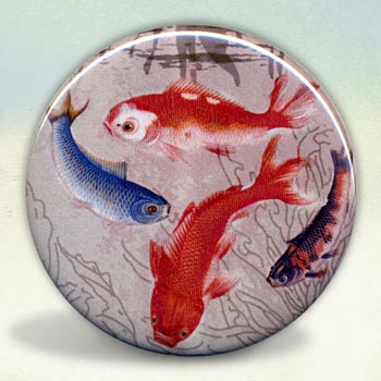 Koi