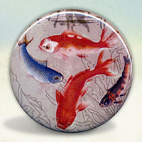 Koi