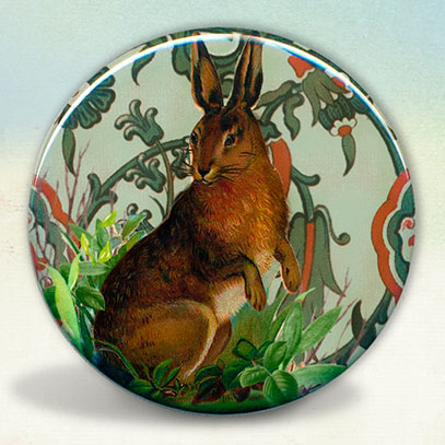 Rabbit