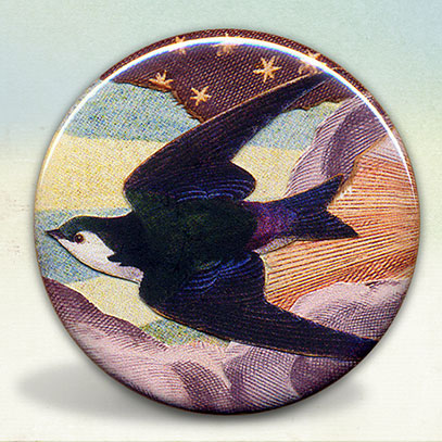Swallow