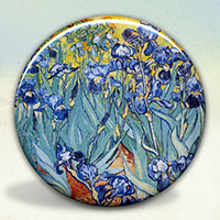 Van Gogh Irises
