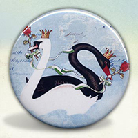 The Black and White Swans